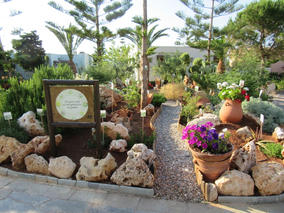 Garten Iberostar Selection Creta Marine