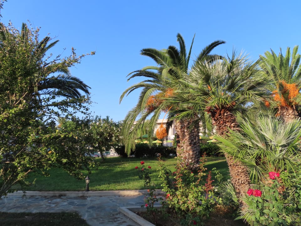 Gartenanlage Hotel Esperia