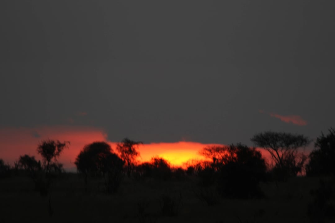 Afrikas rote Sonne Salt Lick Safari Lodge