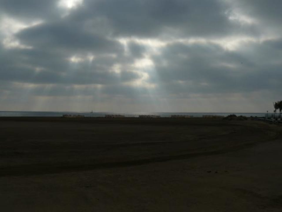 Strand Relaxia Olivina