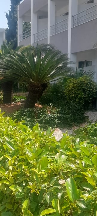 Gartenanlage Hotel Faliraki Bay