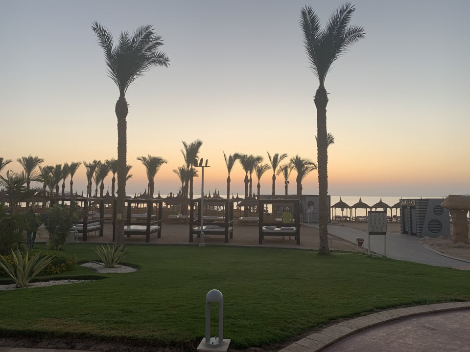Zimmer Pickalbatros Palace Resort