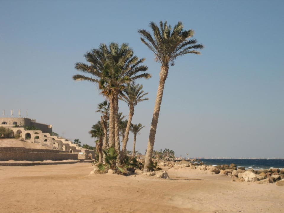 Strand im Süden Pickalbatros Citadel Resort