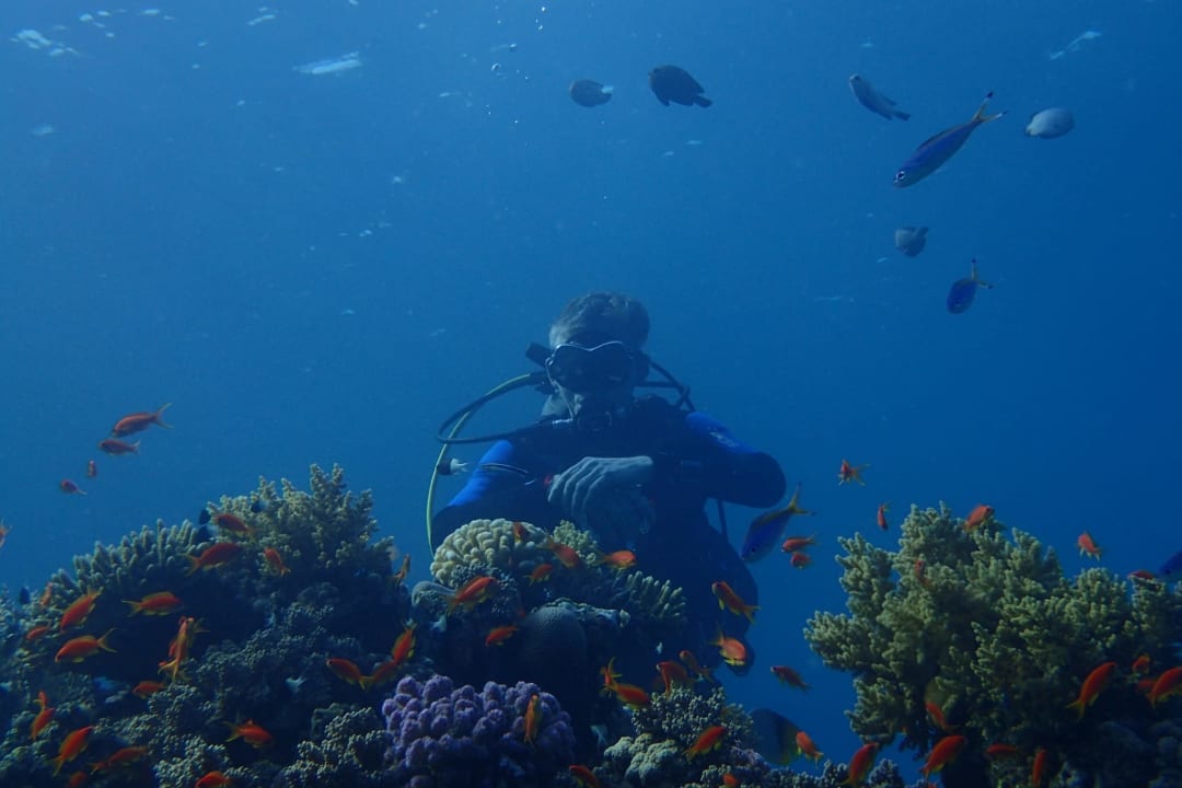 Sport & Freizeit Three Corners Equinox Beach Resort