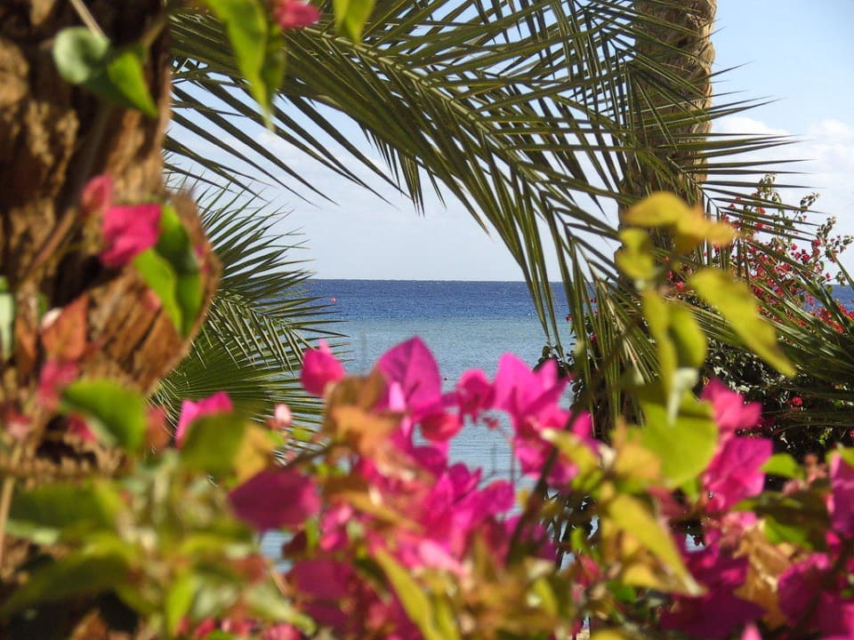 Karibik Flair Brayka Bay Resort