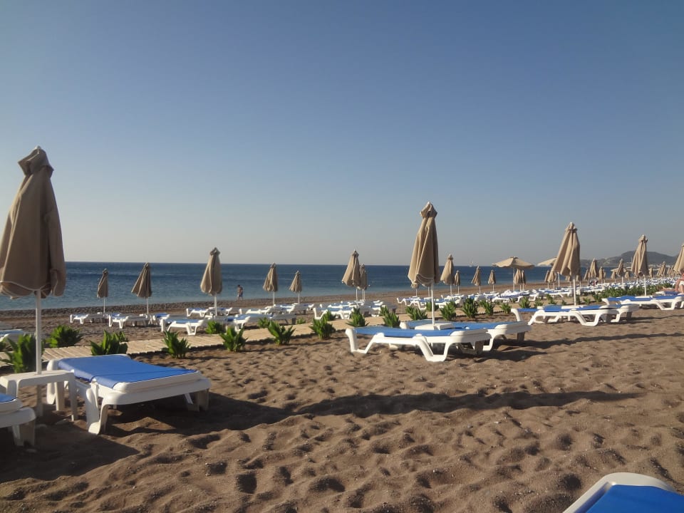 Liegen sind am Strand frei Rodos Palladium Leisure & Wellness