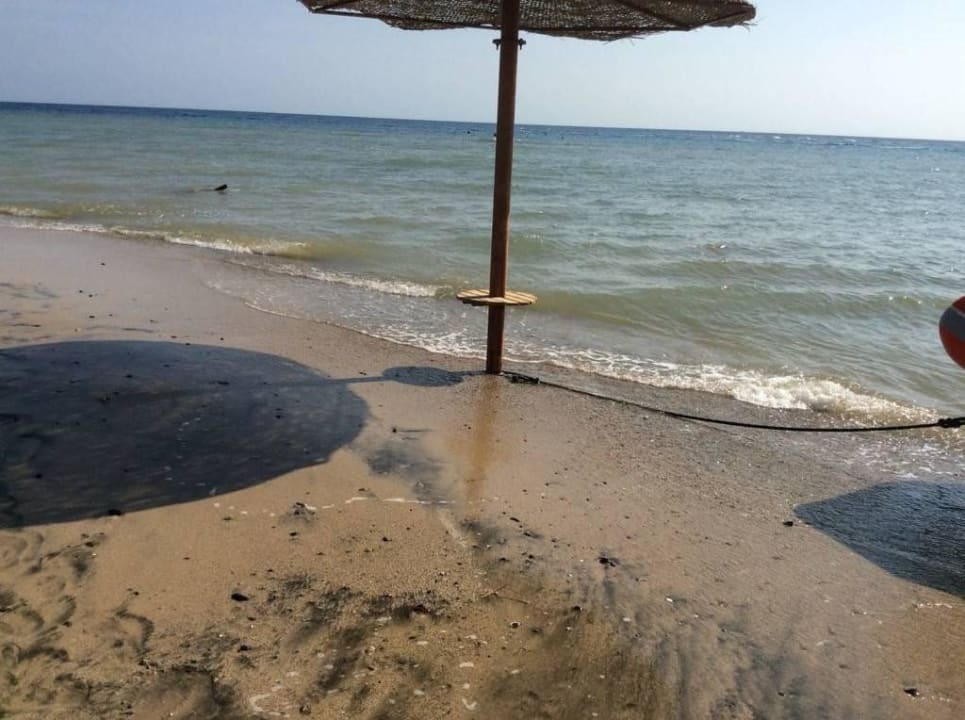 Hotelstrand Three Corners Equinox Beach Resort