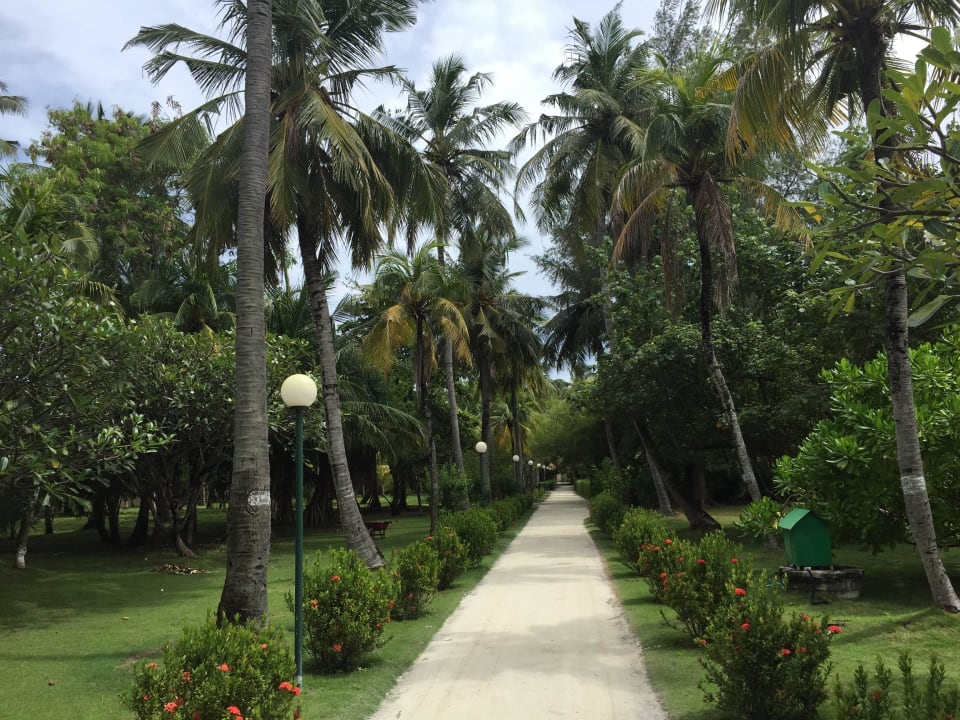 Weg zu unserer Garden Villa Adaaran Select Hudhuran Fushi - Premium All Inclusive