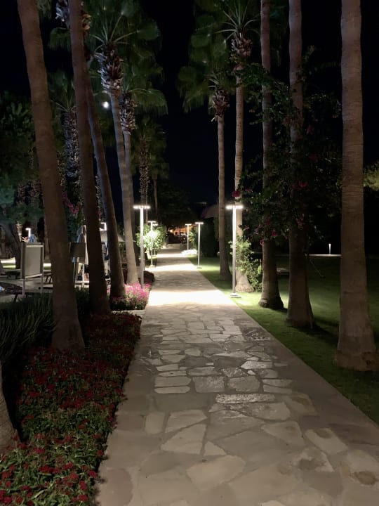 Gartenanlage Arum Barut Collection