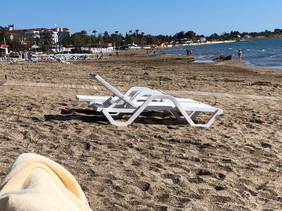 Strand Acanthus Cennet Barut Collection