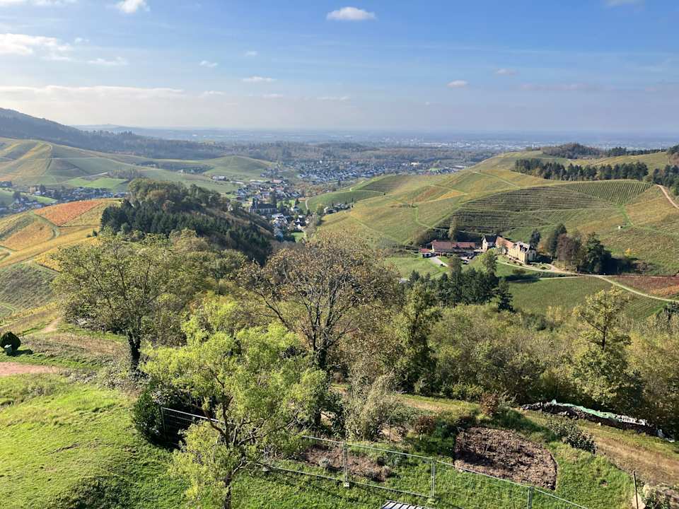 Ausblick Hotel Ritter Durbach