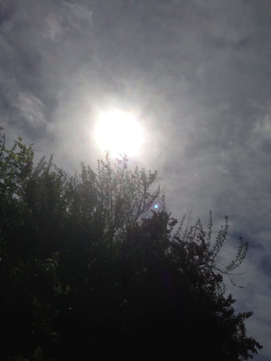 Wolkenbehangen wie das ganze 1. Halbjahr Center Parcs Park Nordseeküste