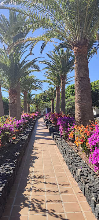 Gartenanlage Relaxia Olivina