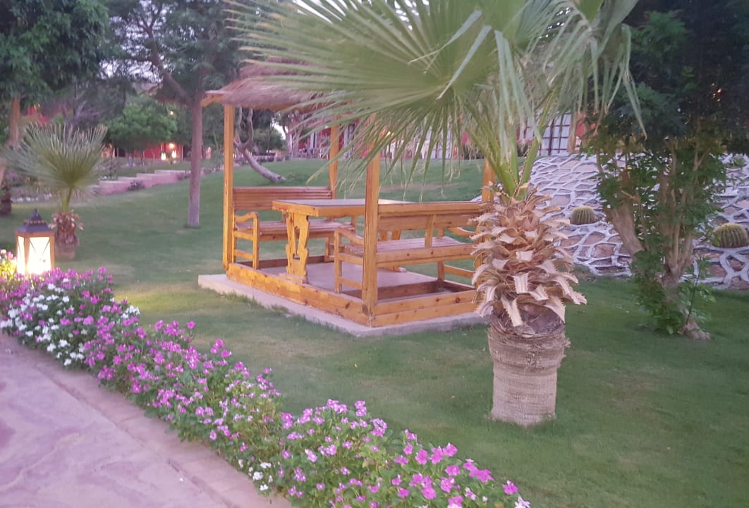 Gartenanlage Pickalbatros Jungle Aqua Park Resort - Neverland Hurghada