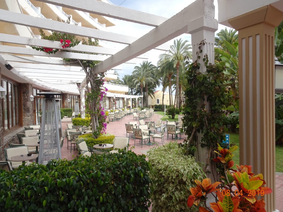 Gastro Hotel Riu Palace Palmeras