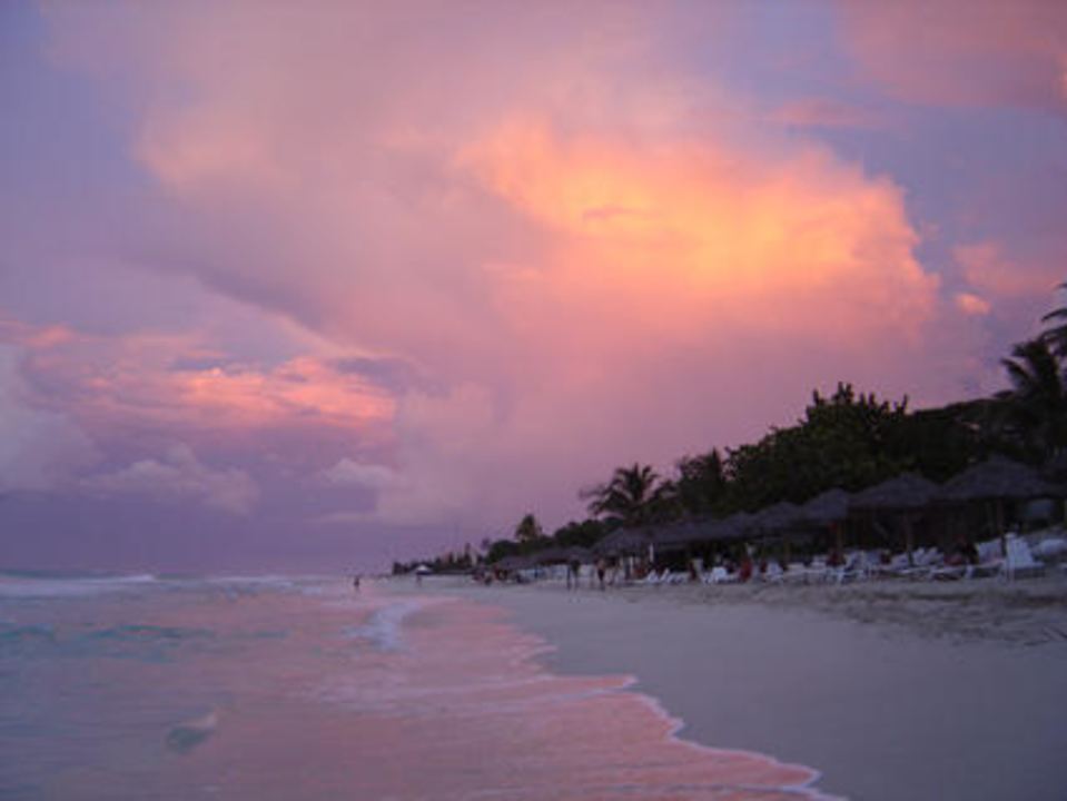 Strand Starfish Cuatro Palmas