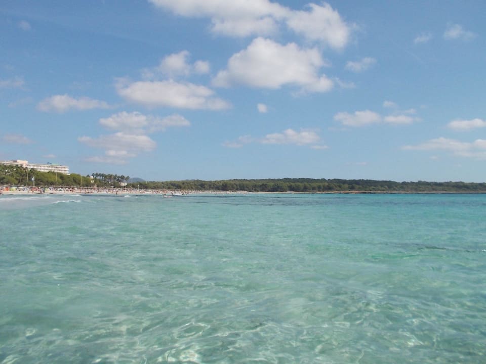 Fast wie Malediven Hipotels Mediterraneo Club