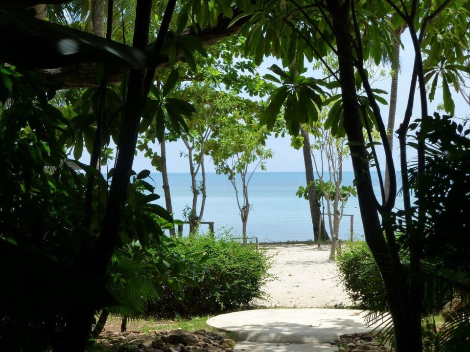 Direkter Weg von unserer Beach Villa zum Strand Hotel Mercure Koh Chang Hideaway