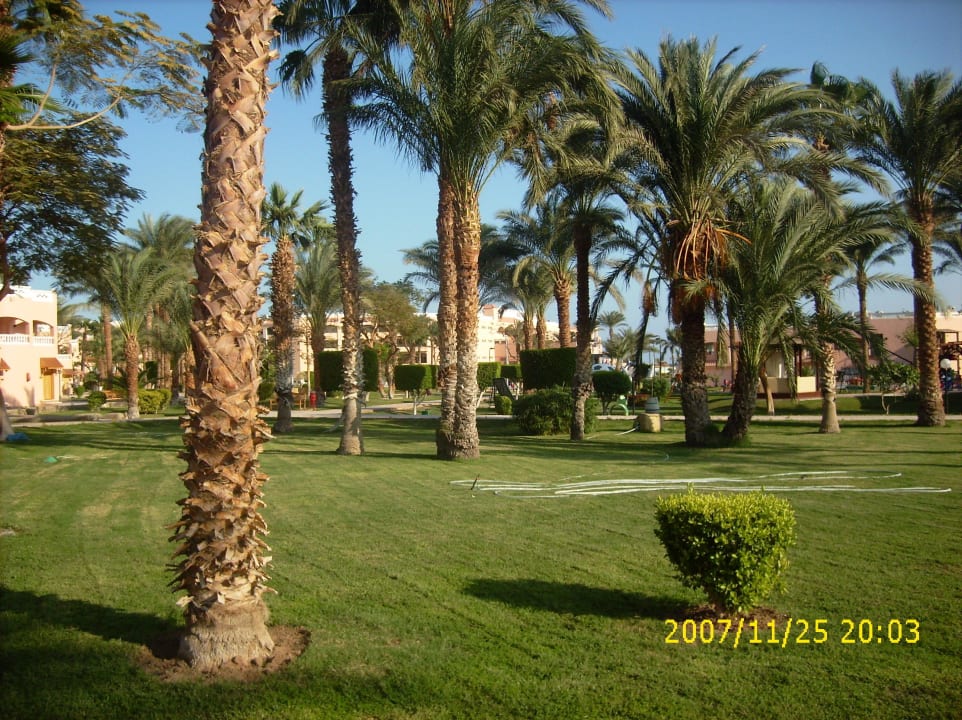 Территория  Beach Albatros Resort