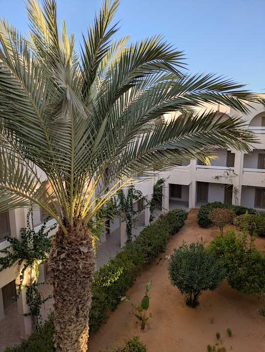 Außenansicht Iberostar Waves Mehari Djerba