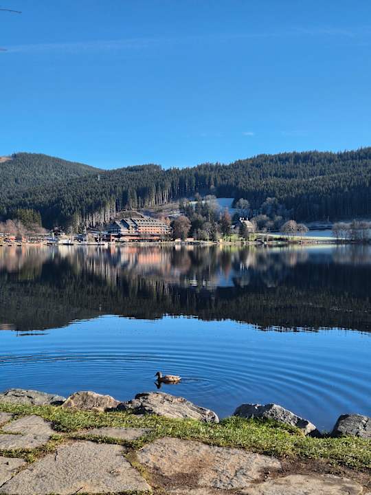Ausblick Treschers Schwarzwald Hotel