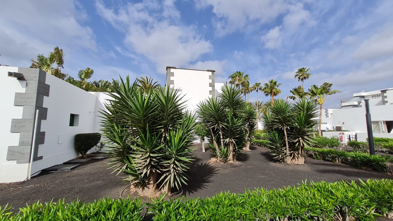 Gartenanlage Hotel Riu Paraiso Lanzarote