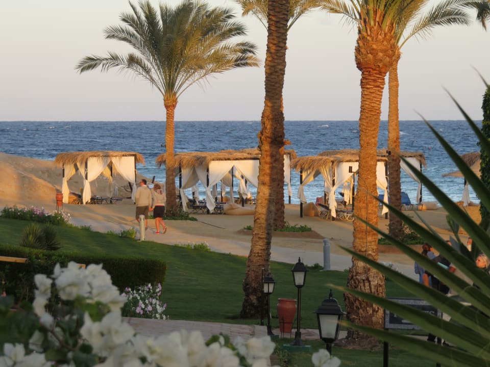 Strand Steigenberger Coraya Beach - Adults only