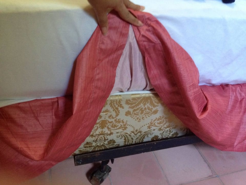 Bett whala!boca chica