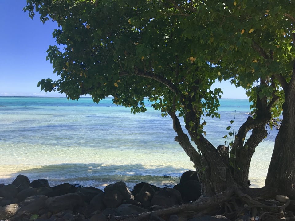 Strand Paradis Beachcomber Golf Resort & Spa