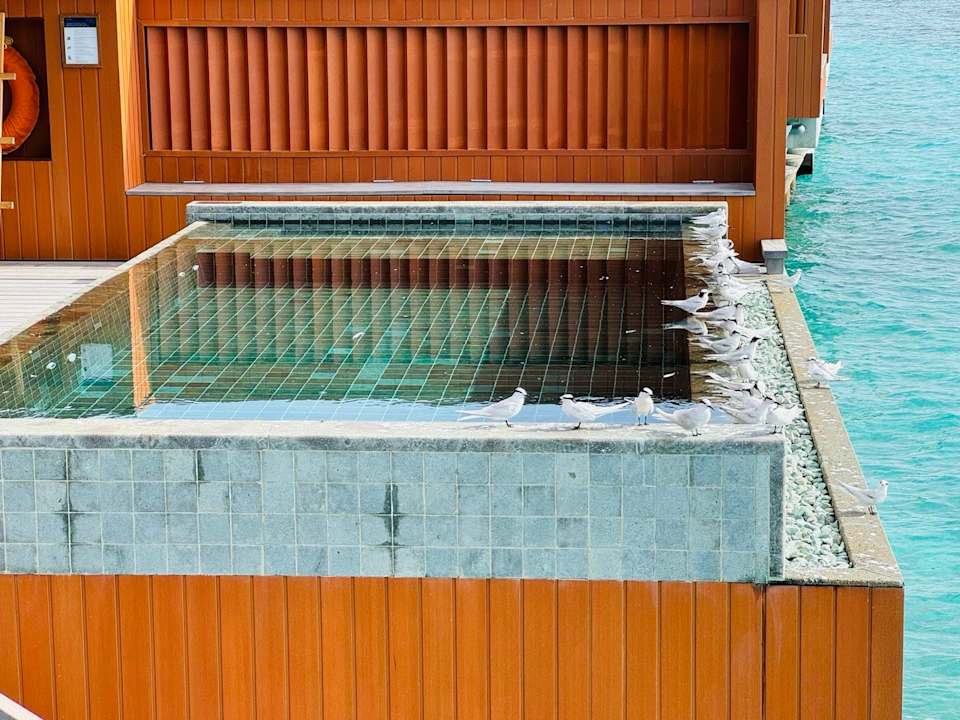 Zimmer Veligandu Maldives Resort Island