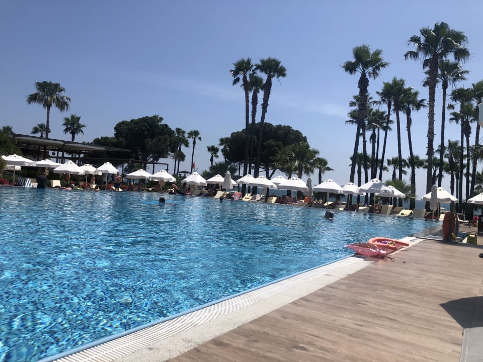 Pool Acanthus Cennet Barut Collection