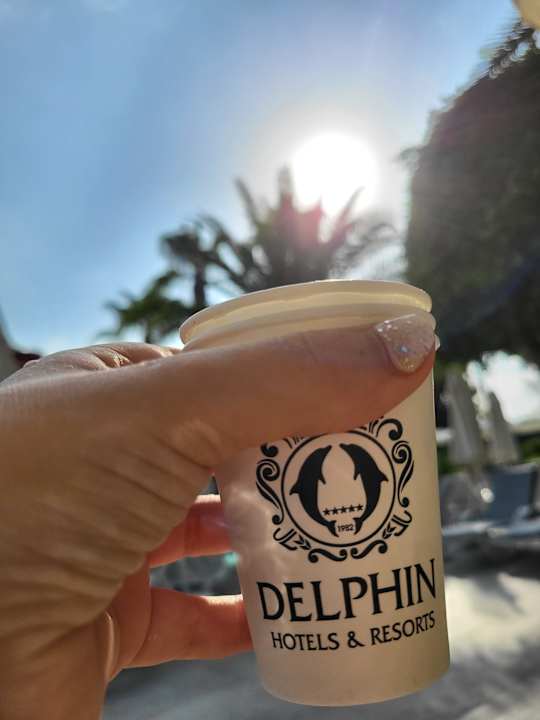 Pool Delphin Deluxe Resort