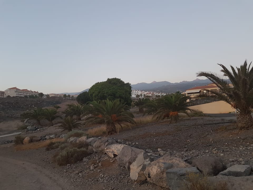 Ausblick Hotel Riu Buenavista