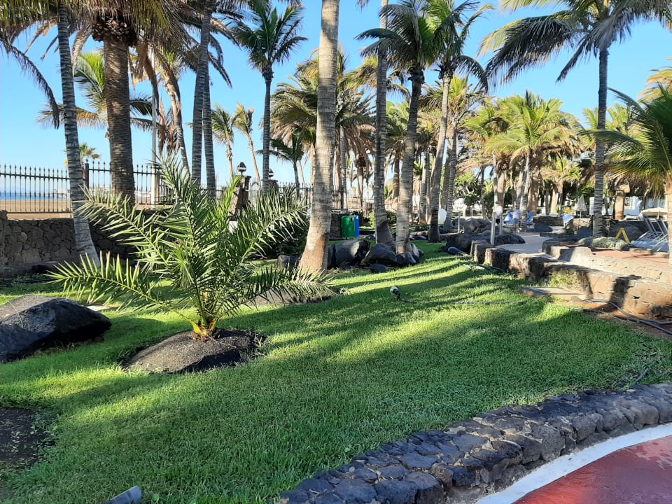 Gartenanlage Hipotels La Geria