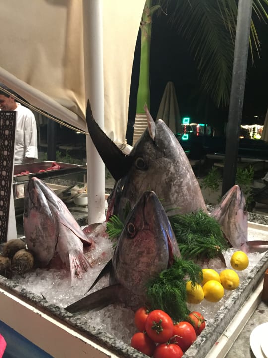 Einmal in der Woche frischer Fisch vom Grill  Fanar Hotel & Residences Salalah Beach