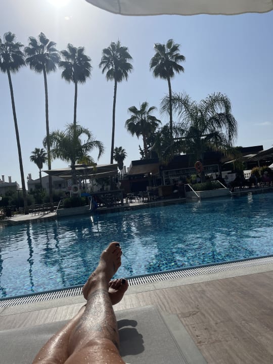 Pool Acanthus Cennet Barut Collection