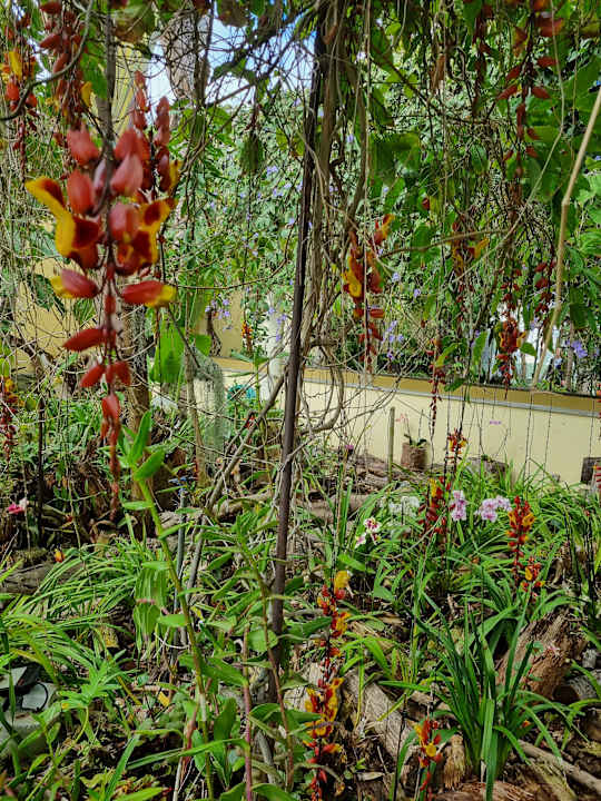 Gartenanlage Suite Hotel Eden Mar - PortoBay