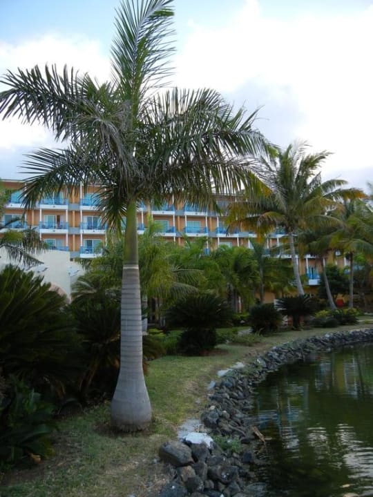 Gartenanlage Melia Las Antillas - Adults only