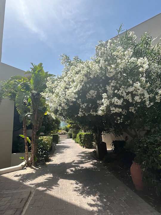 Gartenanlage Atlantica Aegean Blue