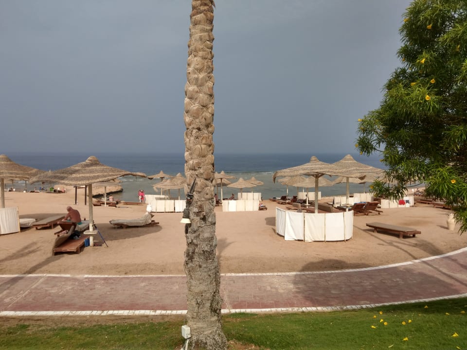 Strand Serenity Alpha Beach