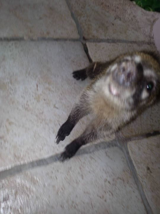 Hotel Catalonia Playa Maroma Catalonia Playa Maroma