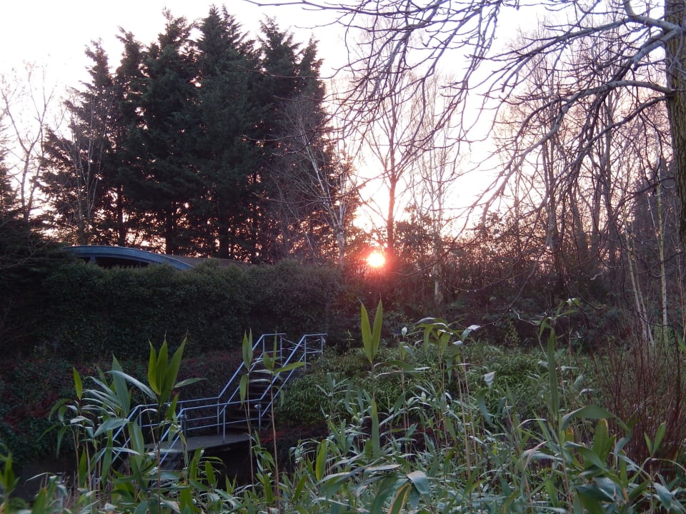 Garten Landhotel Lewitz Mühle