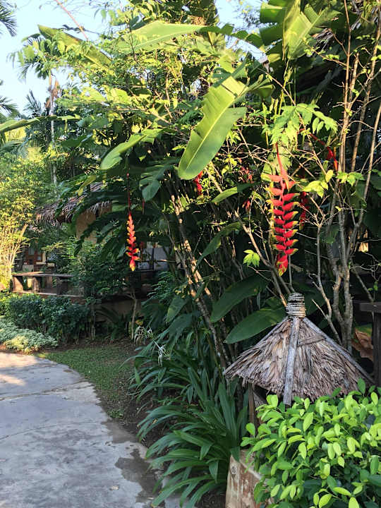 Vor unserem Bungalow Centara Koh Chang Tropicana Resort