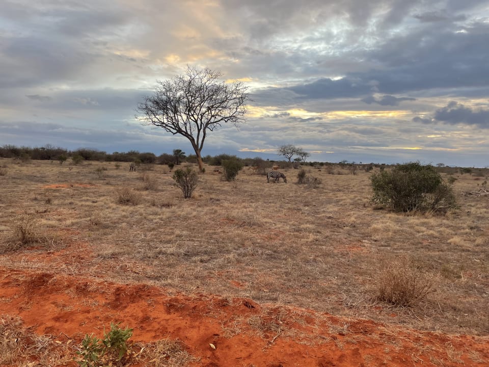 Ausblick Neptune Palm Beach Boutique Resort & Spa