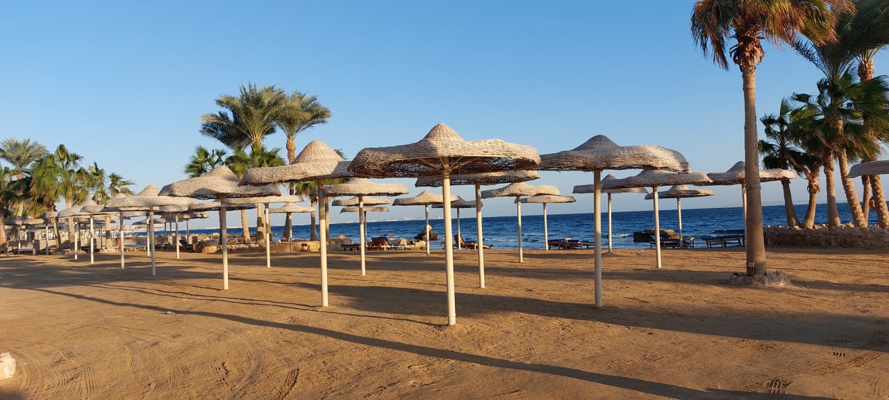 Strand Pickalbatros Citadel Resort