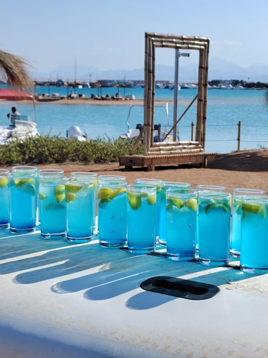 Gastro Club Paradisio El Gouna, Red Sea