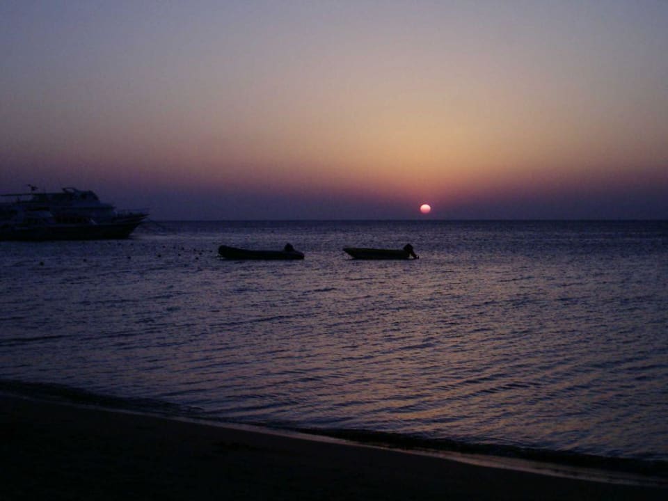 Sonnenaufgang Eagles Paradise Abu Soma