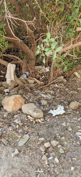 Gartenanlage Bodrum Park Resort