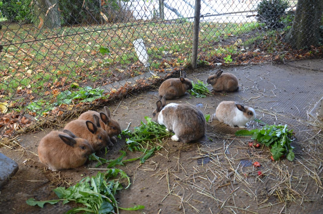 Sonstiges Fischerhof - Urlaub auf dem Bauernhof
