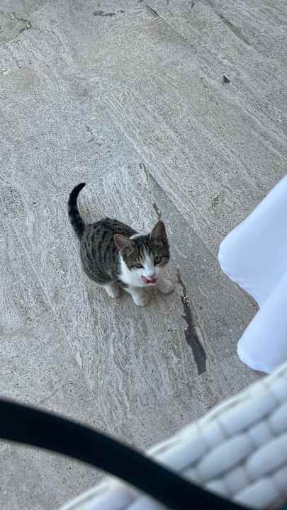 Sonstiges Terrace TERRACE BEACH RESORT